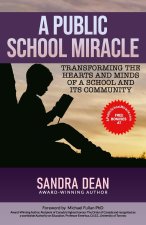 Public School Miracle