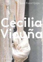 Hyundai Commission: Cecilia Vicuna