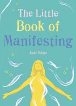 Little Book of Manifesting