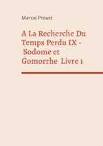 La Recherche Du Temps Perdu IX