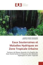 Eaux Souterraines et Maladies Hydriques en Zone Tropicale Urbaine