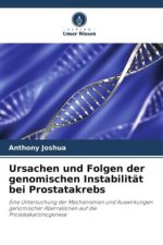 Ursachen und Folgen der genomischen Instabilität bei Prostatakrebs