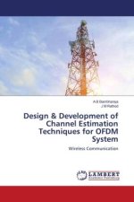 Design & Development of Channel Estimation Techniques for OFDM System