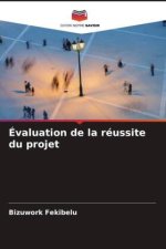 Évaluation de la réussite du projet