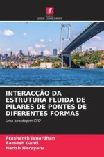 INTERACÇ?O DA ESTRUTURA FLUIDA DE PILARES DE PONTES DE DIFERENTES FORMAS
