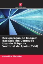 Recuperaç?o de Imagem Baseada em Conteúdo Usando Máquina Vectorial de Apoio (SVM)
