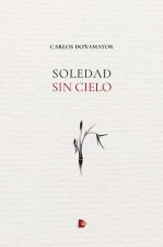 Soledad sin cielo