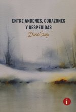 Entre andenes, corazones y despedidas