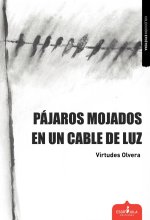 P?JAROS MOJADOS EN UN CABLE DE LUZ