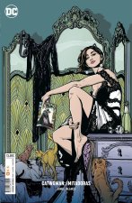 Catwoman: Imitadoras