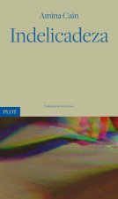 Indelicadeza