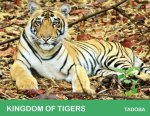 Kingdom of Tigers - Tadoba