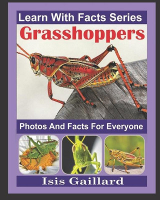 Grasshoppers Photos and Facts for Everyone