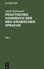 Praktisches Handbuch der neu-arabischen Sprache, Teil 1, Praktische Grammatik der neu-arabischer Sprache
