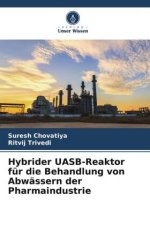 Hybrider UASB-Reaktor für die Behandlung von Abwässern der Pharmaindustrie