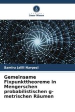 Gemeinsame Fixpunkttheoreme in Mengerschen probabilistischen g-metrischen Räumen
