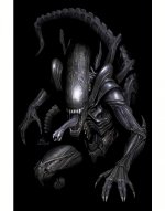 Aliens 1. Linajes
