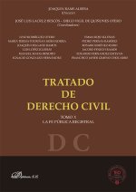 Tratado de derecho civil, tomo X