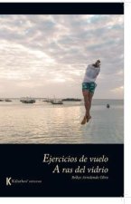 Ejercicios de vuelo : a ras del vidrio