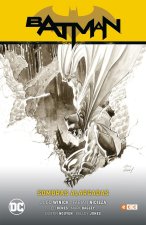 Batman vol. 09: Sombras alargadas (Batman Saga - Renacido Parte 3)