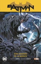 Batman vol. 10: Vida después de la muerte (Batman Saga - Renacido Parte 4)
