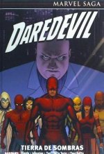 Daredevil : tierra de sombras