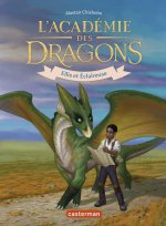 L'académie des dragons