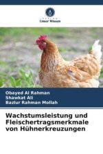 Wachstumsleistung und Fleischertragsmerkmale von Hühnerkreuzungen