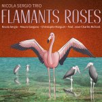 FLAMANTS ROSES