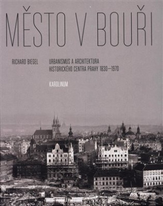 Mďż˝sto v bouďż˝i