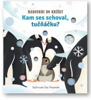 Kam ses schoval, tuďż˝ďż˝ďż˝ďż˝ku?