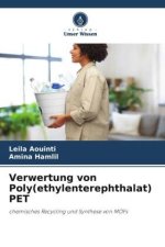 Verwertung von Poly(ethylenterephthalat) PET