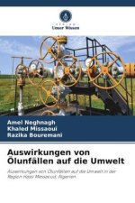 Auswirkungen von Ölunfällen auf die Umwelt