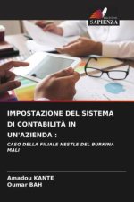 IMPOSTAZIONE DEL SISTEMA DI CONTABILITÀ IN UN'AZIENDA :