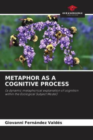 METAPHOR AS A COGNITIVE PROCESS