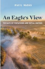 Eagle's View