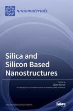 Silica and Silicon Based Nanostructures