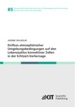 Einfluss atmosphärischer Umgebungsbedingungen auf den Lebenszyklus konvektiver Zellen in der Echtzeit-Vorhersage