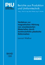 Verfahren zur magnetischen Härtung von eisenbasierten Materialien durch kontinuierliche plastische Deformation