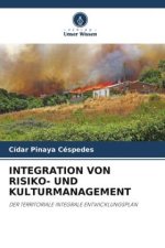 INTEGRATION VON RISIKO- UND KULTURMANAGEMENT