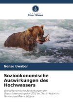 Sozioökonomische Auswirkungen des Hochwassers