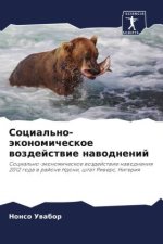 Social'no-äkonomicheskoe wozdejstwie nawodnenij