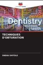 TECHNIQUES D'OBTURATION