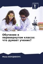 Obuchenie w perewernutom klasse: chto dumaet uchenik?