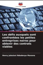Les défis auxquels sont confrontées les petites entreprises noires pour obtenir des contrats viables