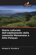 Storia culturale dell'adattamento della comunit? Mamanwas a Sitio Palayan
