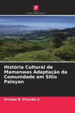 História Cultural de Mamanwas Adaptaç?o da Comunidade em Sitio Palayan