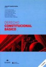 DERECHO CONSTITUCIONAL BASICO 2021