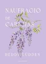 Naufragio de caricias