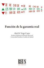 Función de la garantía real